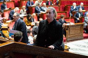 Questions to the government at the French National Assembly - Paris