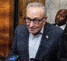 Schumer Speaks to the Press