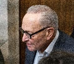 Schumer Speaks to the Press