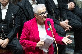 Questions to the government at the French National Assembly - Paris