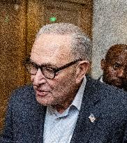 Schumer Speaks to the Press