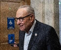 Schumer Speaks to the Press