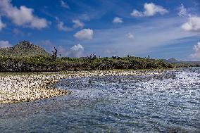 Princess Beatrix Visits Bonaire