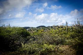 Princess Beatrix Visits Bonaire