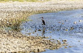 Princess Beatrix Visits Bonaire