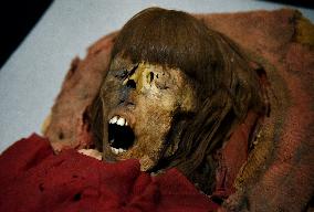 Mummies at the Museum of Mankind - Paris