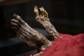 Mummies at the Museum of Mankind - Paris