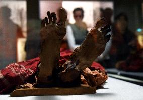 Mummies at the Museum of Mankind - Paris