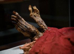 Mummies at the Museum of Mankind - Paris