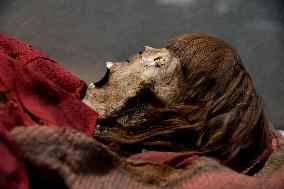 Mummies at the Museum of Mankind - Paris