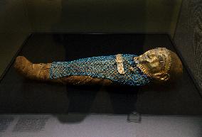 Mummies at the Museum of Mankind - Paris