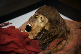 Mummies at the Museum of Mankind - Paris