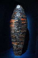 Mummies at the Museum of Mankind - Paris