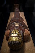 Mummies at the Museum of Mankind - Paris