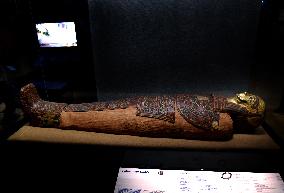 Mummies at the Museum of Mankind - Paris