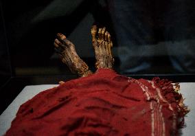 Mummies at the Museum of Mankind - Paris