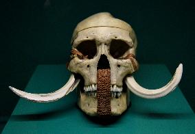 Mummies at the Museum of Mankind - Paris