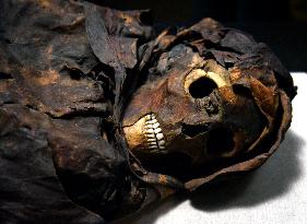 Mummies at the Museum of Mankind - Paris