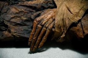 Mummies at the Museum of Mankind - Paris