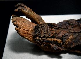 Mummies at the Museum of Mankind - Paris