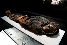 Mummies at the Museum of Mankind - Paris