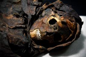 Mummies at the Museum of Mankind - Paris