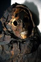 Mummies at the Museum of Mankind - Paris