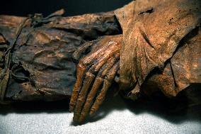 Mummies at the Museum of Mankind - Paris