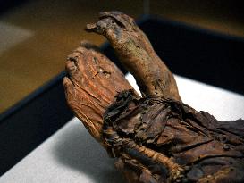 Mummies at the Museum of Mankind - Paris