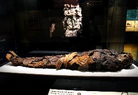 Mummies at the Museum of Mankind - Paris