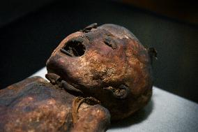 Mummies at the Museum of Mankind - Paris