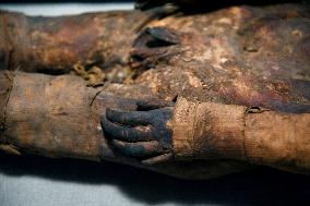 Mummies at the Museum of Mankind - Paris