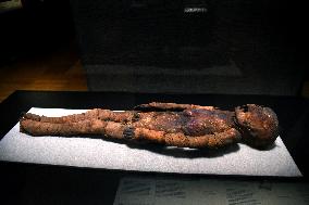 Mummies at the Museum of Mankind - Paris