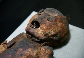 Mummies at the Museum of Mankind - Paris