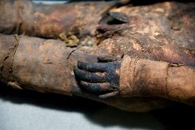 Mummies at the Museum of Mankind - Paris