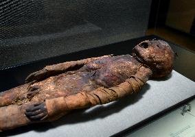 Mummies at the Museum of Mankind - Paris