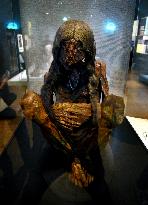 Mummies at the Museum of Mankind - Paris