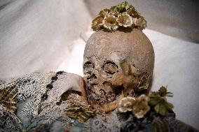 Mummies at the Museum of Mankind - Paris