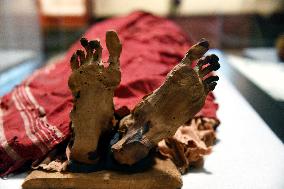 Mummies at the Museum of Mankind - Paris