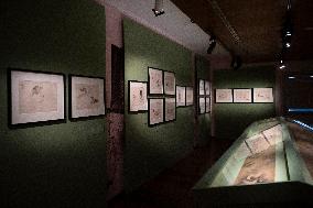 Manga Tout Un Art Exhibition At The Guimet Museum - Paris