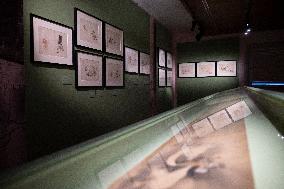 Manga Tout Un Art Exhibition At The Guimet Museum - Paris