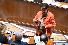 Questions To French Government Assembly - Paris