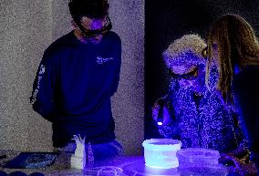 Princess Beatrix Visits Bonaire - The Netherlands