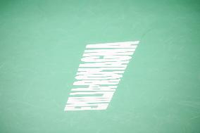 TENNIS - Internazionali di Tennis - Davis Cup - Final Eight