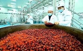 Intelligent Digital Production in Zhangye