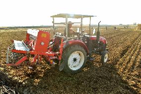 Winter Wheat Sowing