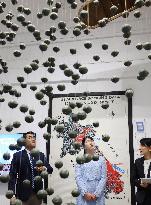 Japan Princess Aiko in Laos