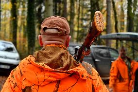 Hunting in Normandy in The Forest of Écouves - France