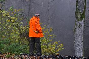 Hunting in Normandy in The Forest of Écouves - France