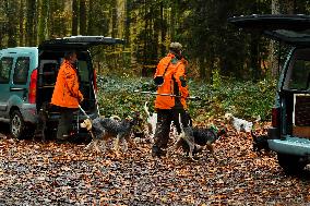 Hunting in Normandy in The Forest of Écouves - France